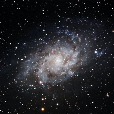 M33